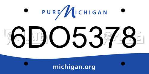 6DO5378 Michigan License Plate