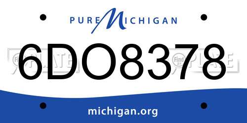 6DO8378 Michigan License Plate