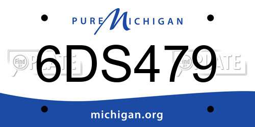 6DS479 Michigan License Plate