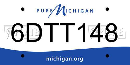 6DTT148 Michigan License Plate