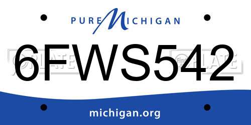 6FWS542 Michigan License Plate