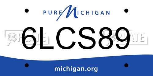 6LCS89 Michigan License Plate