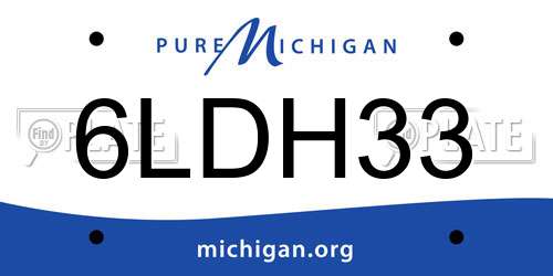 6LDH33 Michigan License Plate