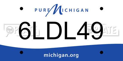 6LDL49 Michigan License Plate