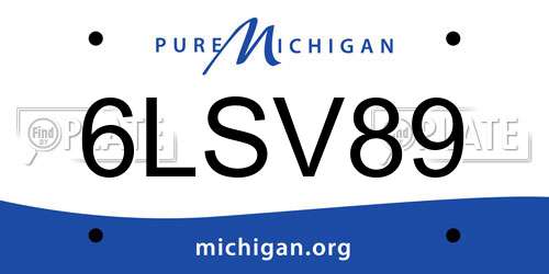 6LSV89 Michigan License Plate