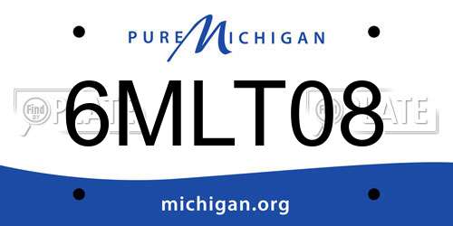 6MLT08 Michigan License Plate