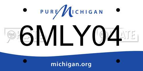 6MLY04 Michigan License Plate
