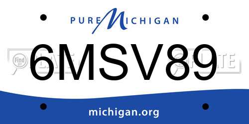 6MSV89 Michigan License Plate