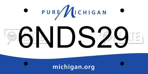 6NDS29 Michigan License Plate