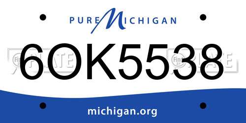 6OK5538 Michigan License Plate