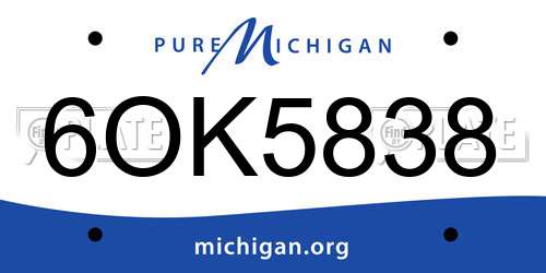 6OK5838 Michigan License Plate