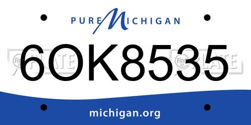 6OK8535 Michigan License Plate