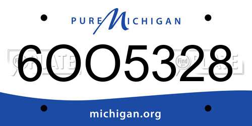 6OO5328 Michigan License Plate