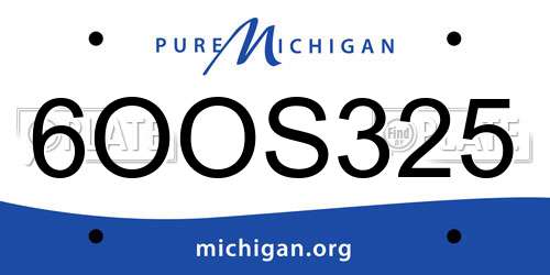 6OOS325 Michigan License Plate