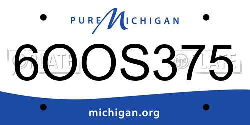6OOS375 Michigan License Plate