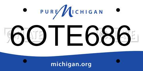 6OTE686 Michigan License Plate