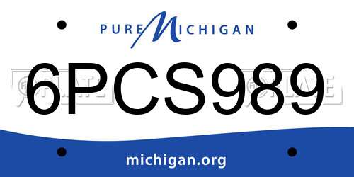 6PCS989 Michigan License Plate