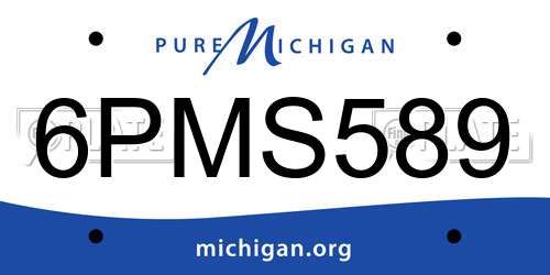 6PMS589 Michigan License Plate