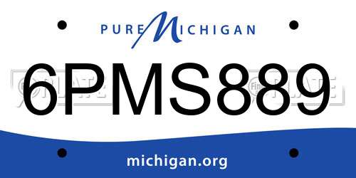 6PMS889 Michigan License Plate