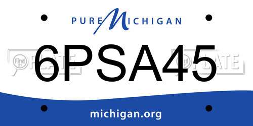 6PSA45 Michigan License Plate