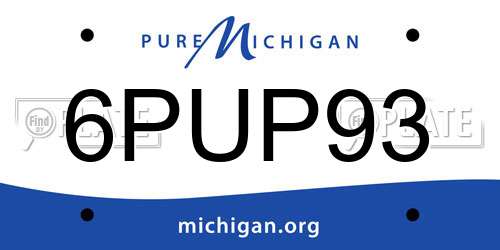 6PUP93 Michigan License Plate