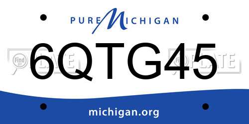 6QTG45 Michigan License Plate
