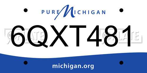 6QXT481 Michigan License Plate