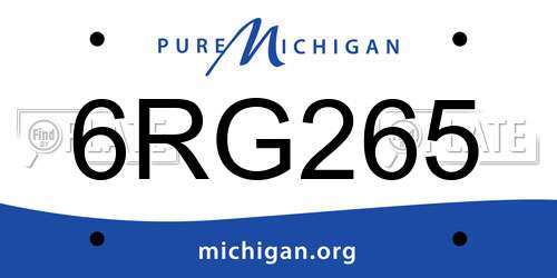 6RG265 Michigan License Plate
