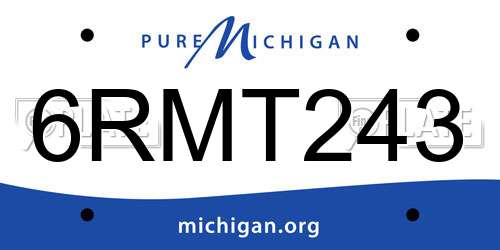6RMT243 Michigan License Plate