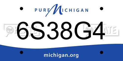 6S38G4 Michigan License Plate