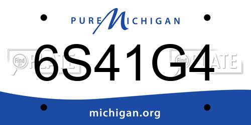 6S41G4 Michigan License Plate