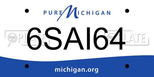 6SAI64 Michigan License Plate
