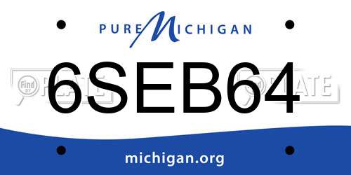 6SEB64 Michigan License Plate