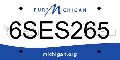6SES265 Michigan License Plate