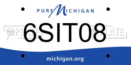 6SIT08 Michigan License Plate