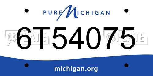 6T54075 Michigan License Plate