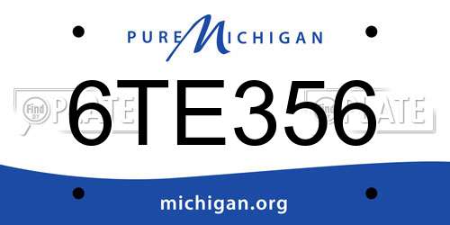 6TE356 Michigan License Plate