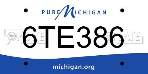 6TE386 Michigan License Plate