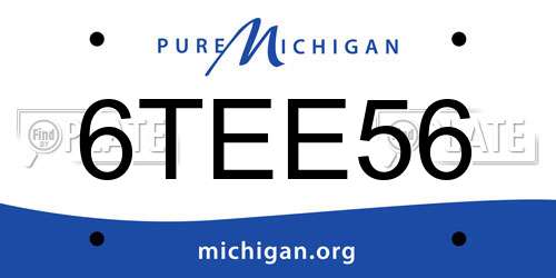 6TEE56 Michigan License Plate