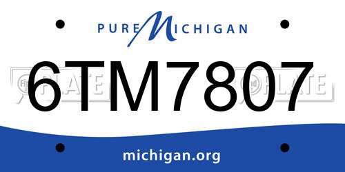 6TM7807 Michigan License Plate