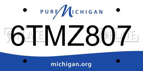 6TMZ807 Michigan License Plate