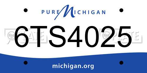6TS4025 Michigan License Plate