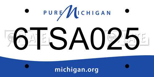 6TSA025 Michigan License Plate