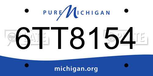 6TT8154 Michigan License Plate