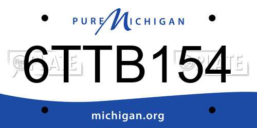 6TTB154 Michigan License Plate