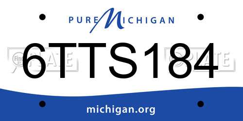 6TTS184 Michigan License Plate