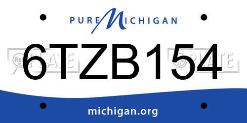 6TZB154 Michigan License Plate