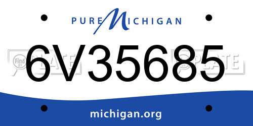 6V35685 Michigan License Plate