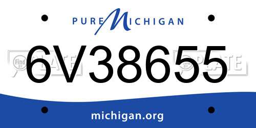 6V38655 Michigan License Plate