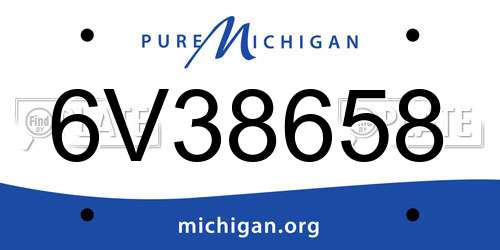 6V38658 Michigan License Plate